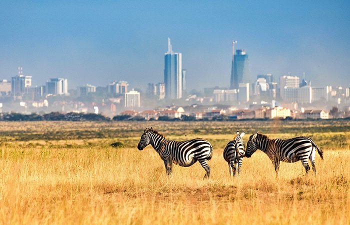 Magical Kenya Stepped Up to Lead Africa’s Travel and Storytelling Vision